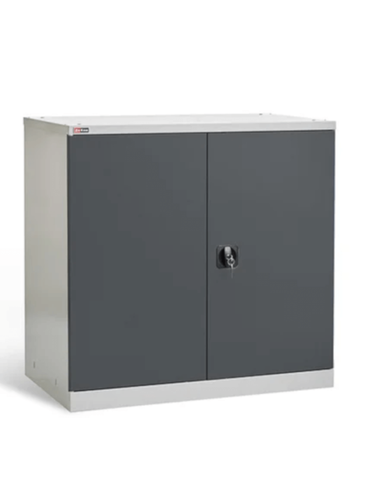 Шкаф инструментальный ДиКом ВЛ-051-02 купить в Волгограде Шкаф инструментальный ДиКом ВЛ-051-02 купить в Волгограде